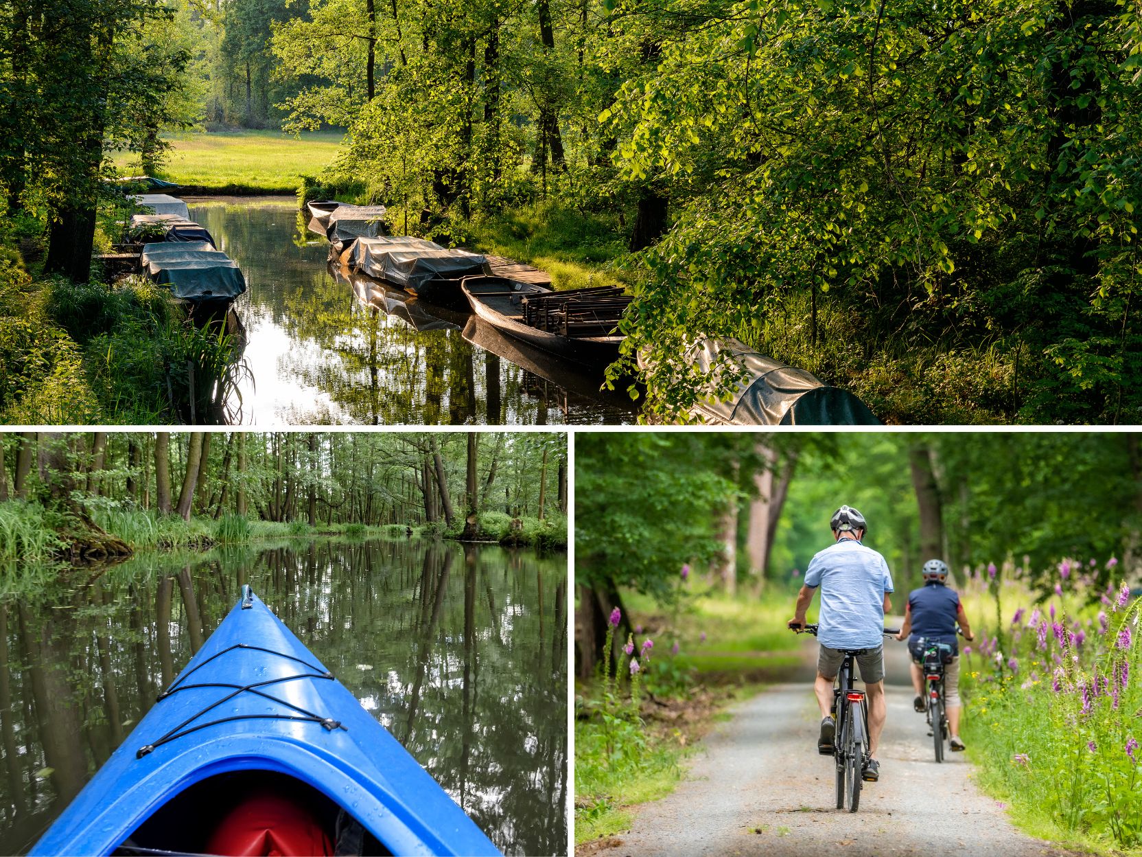 Spreewald-Motiv (43)