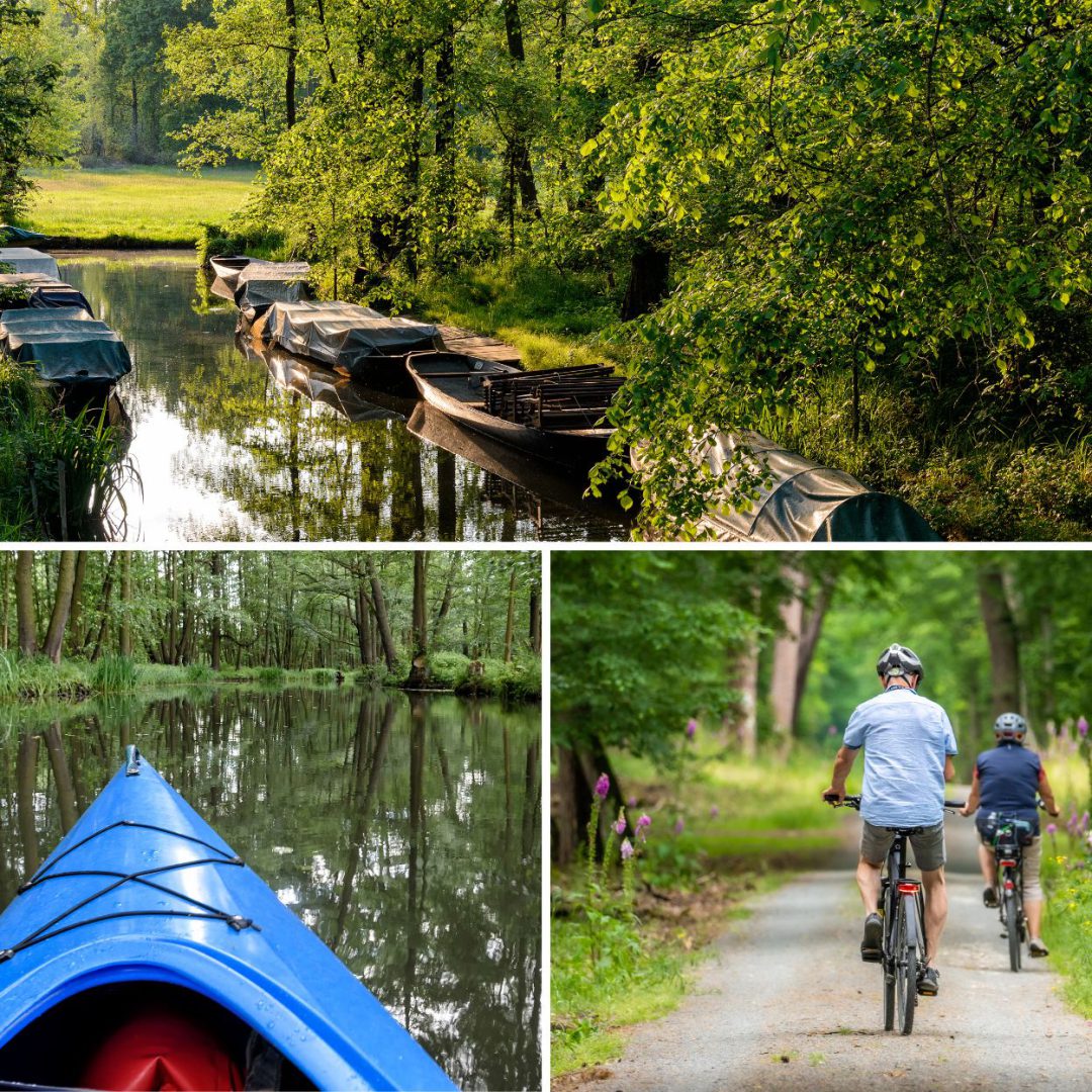 Spreewald-Motiv (43)